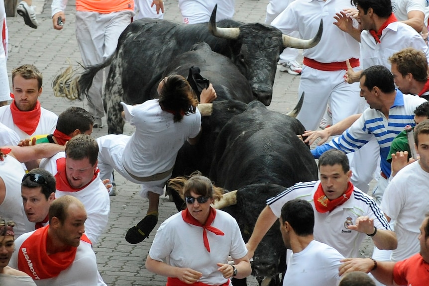 Participants run in front of Dolores Ybarra's bulls during the first bull run of the San Fermin Festival.