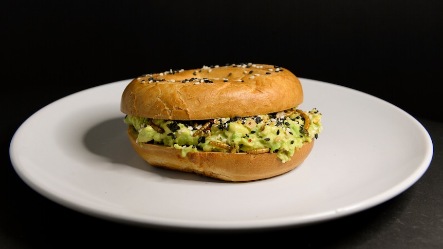 A bagel with avocado inside and bugs.
