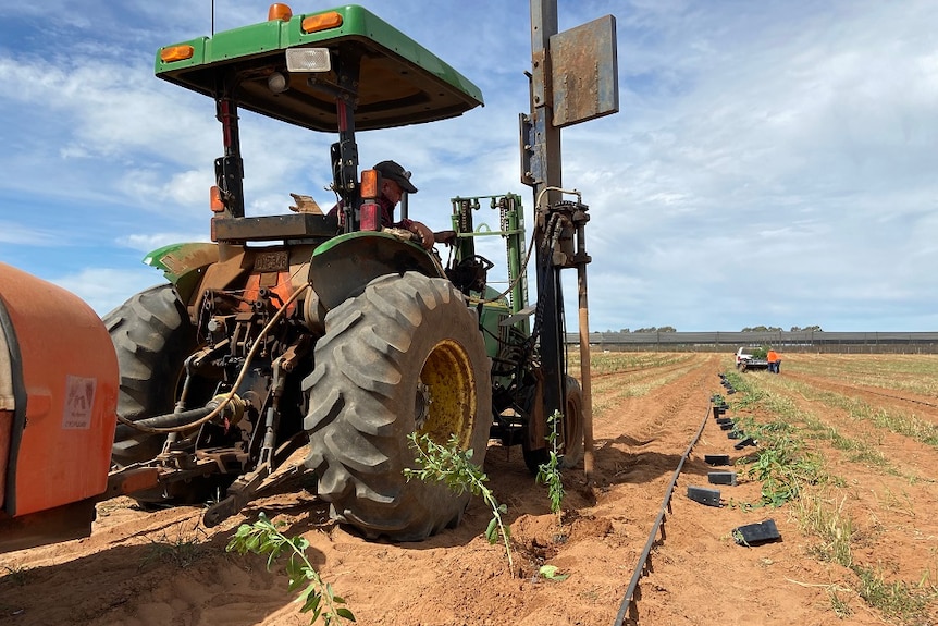 A man on a tractor drilling wholes in the paddock to plant trees.