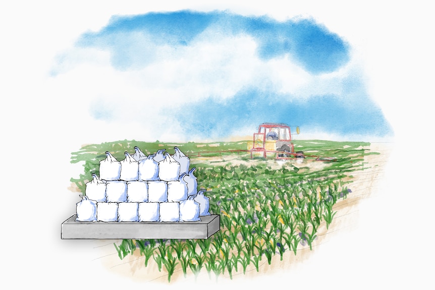 Water colour picture of red tractor fertilising green crops and a large pile of fertiliser bags in the foreground.