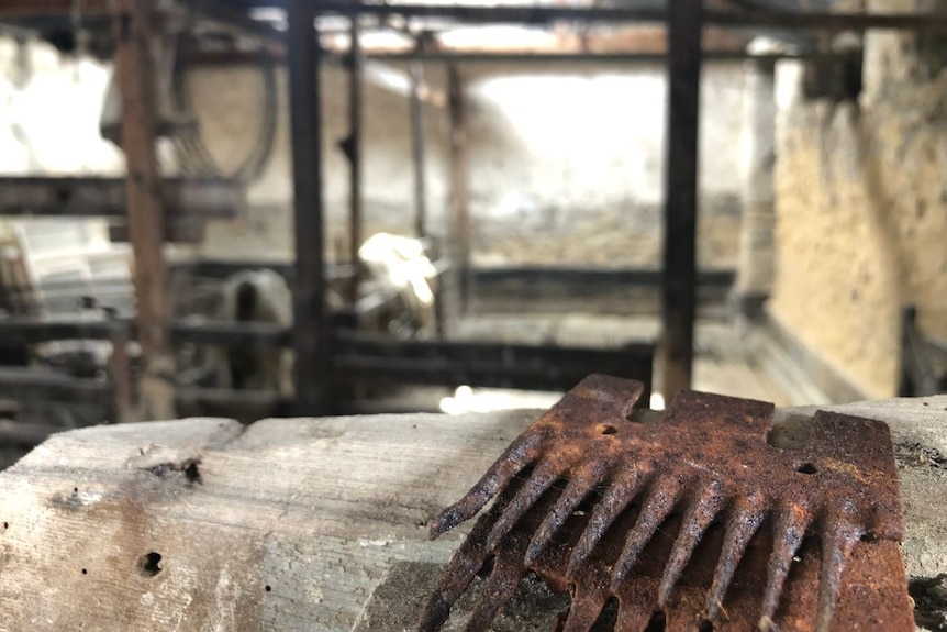 A rusted shearing comb in old shearing sheds.