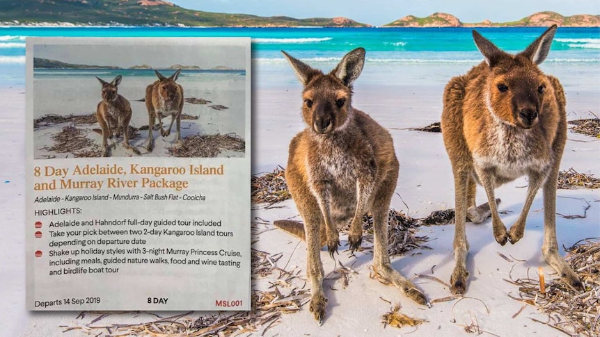 An advertisement in a newspaper for Kangaroo Island used a photo of Esperance.