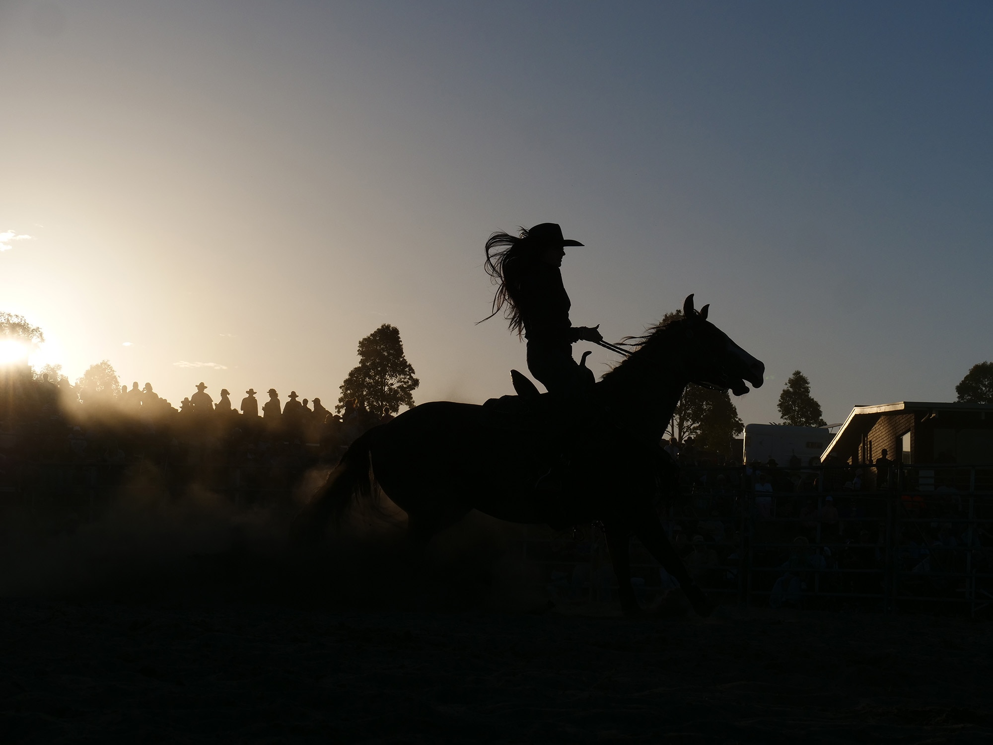 A backlit rodeo rider