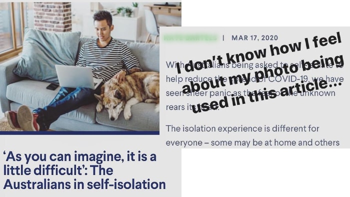 A screenshot of a Domain article featuring Jeremy on the lounge with laptop and with a dog.