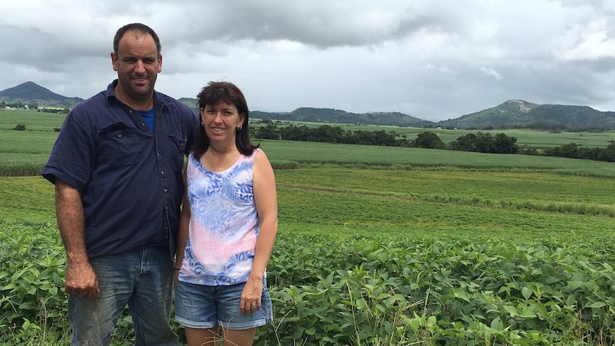 Neiola and Stephen Vella beside the soybean crop being used to trap redwitch weed.