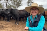 A woman in a large hat stands in front of cows in a paddock.