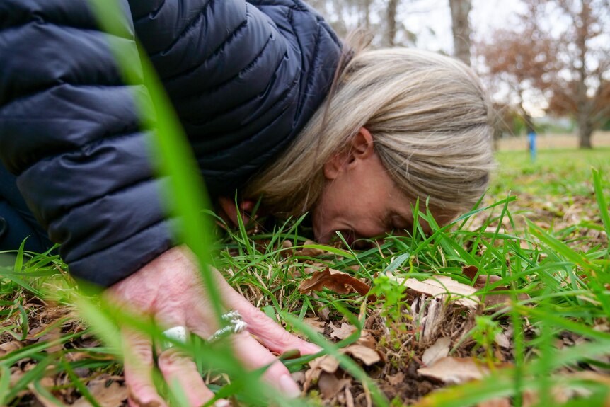 A woman buries her nose in the ground, searching for truffles. 