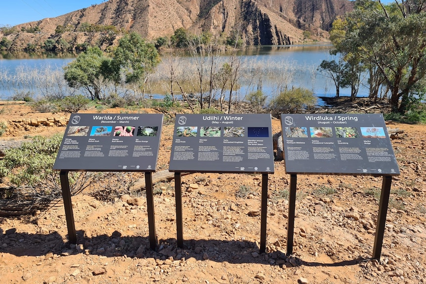 Three rectangle signs on an angle, with water and a mountain range in the background.
