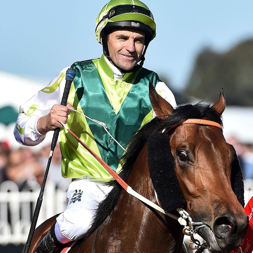 Divine Prophet returns after winning the Caulfield Guineas