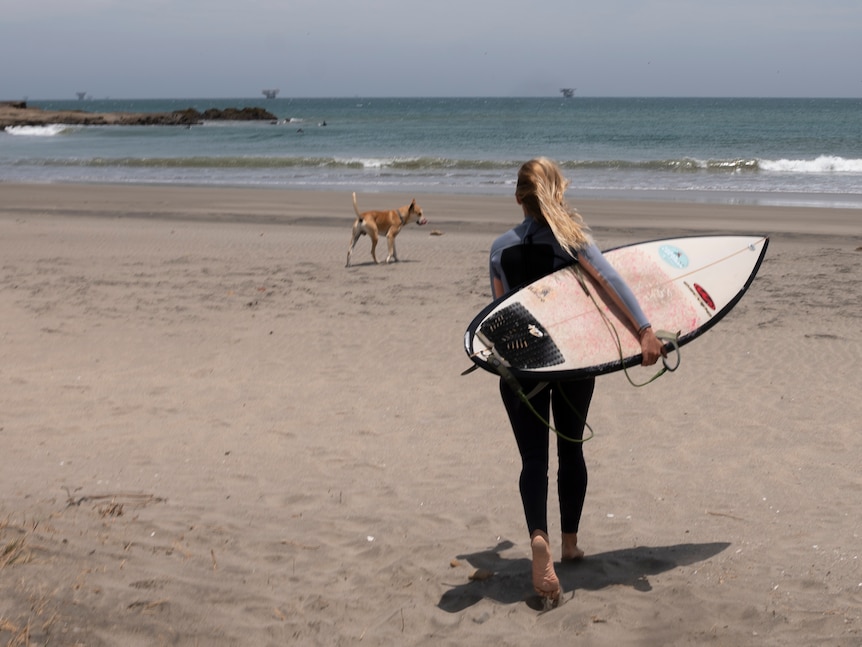 A woman surfer holds her board and runs towards the water.