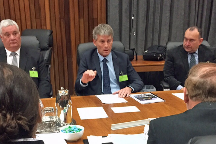 Tasmanian energy inquiry witnesses