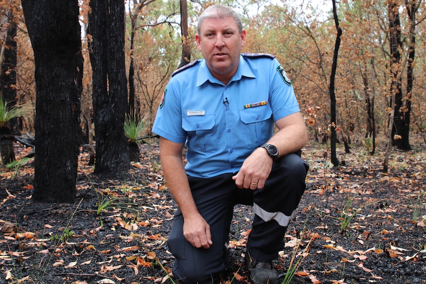 A man in a blue emergency services uniform crouches in an area of bushland where  back burning has been carried out.