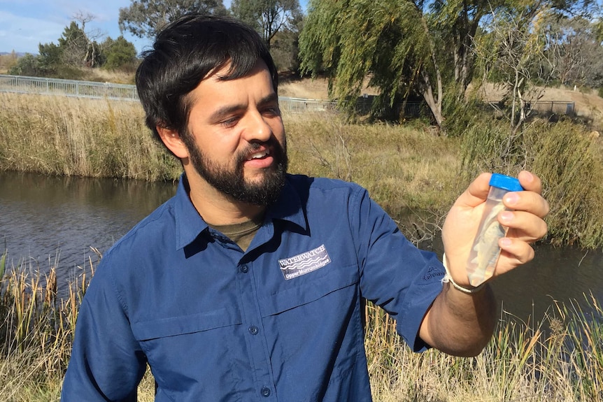 Dr Dan Starrs holds a tube containing a baby carp.