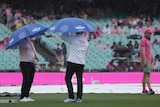 Two match officials use umbrellas as they inspect the pitch during a rain delay at the SCG.