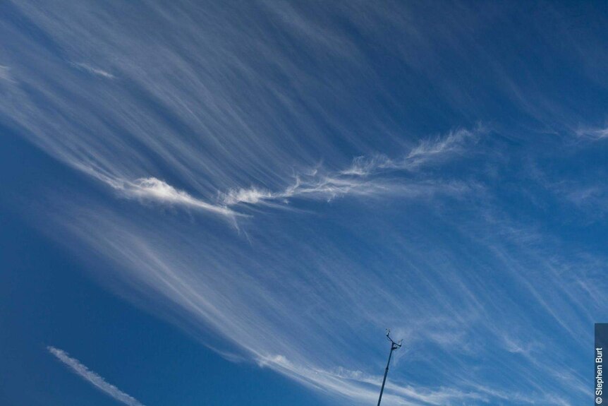 A cirrus cloud formation