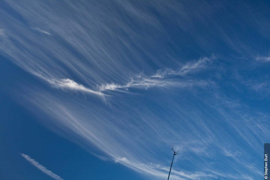 A cirrus cloud formation