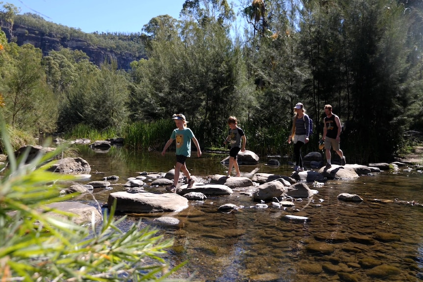 Two adults and two children stepping across rocks above a creek, trees and cliffs behind.