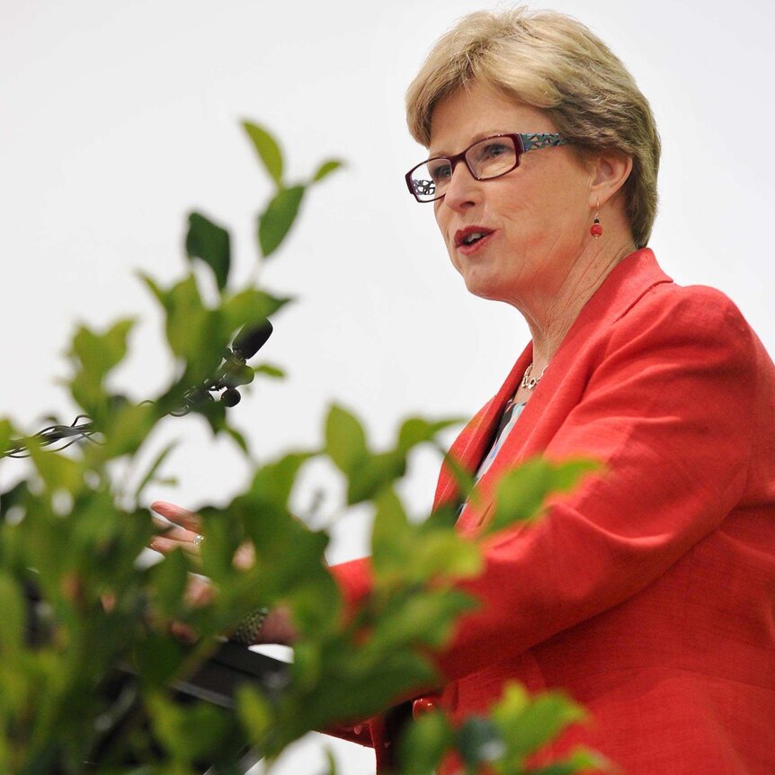 Senator Milne resigned as Australian Greens Leader last month and will not contest the next election.