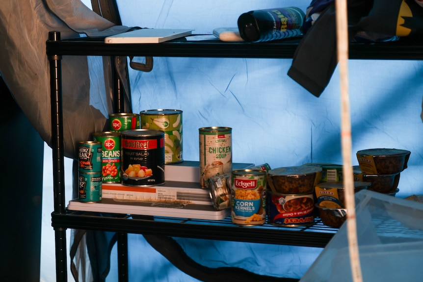 A shelf with tinned foods.