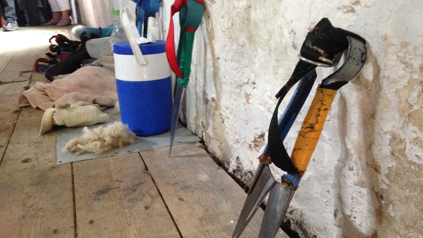 Blade shears lined up against a wall