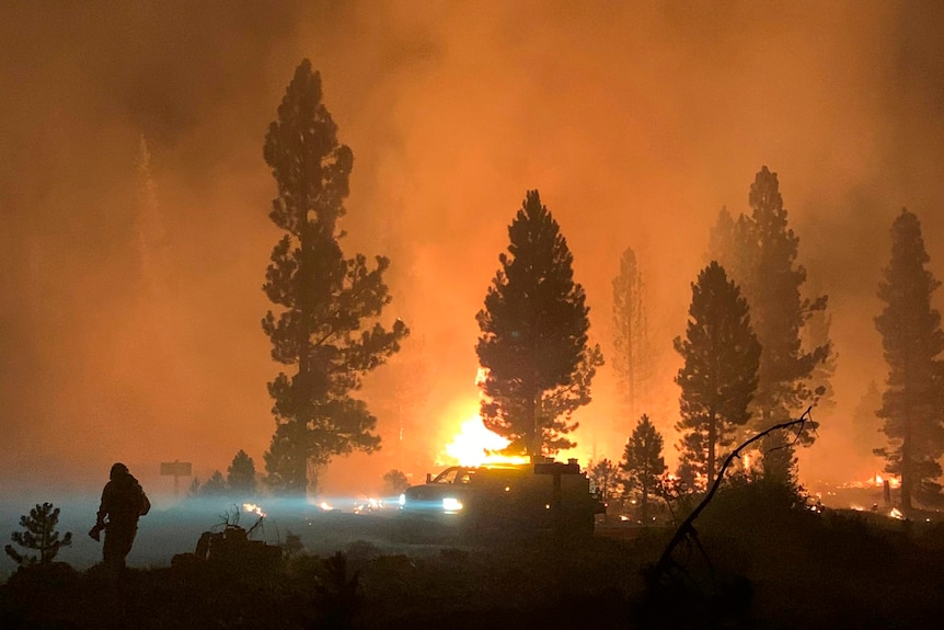 A fire burning through forest at night