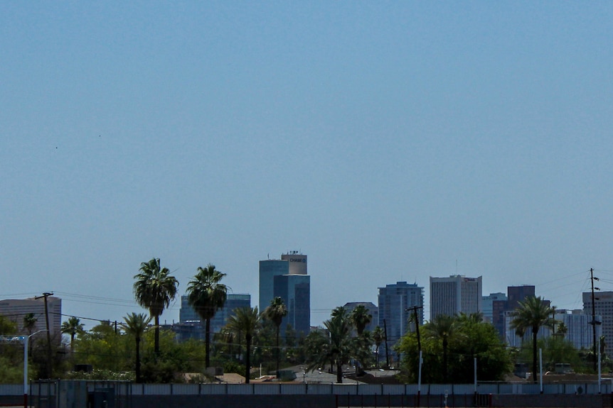 A city skyline with palm trees and a cloudless sky