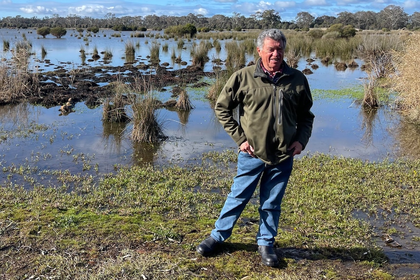 Middle aged man standing in front of a wetland
