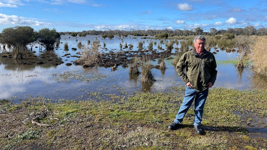 Middle-aged man standing in front of a wetland.