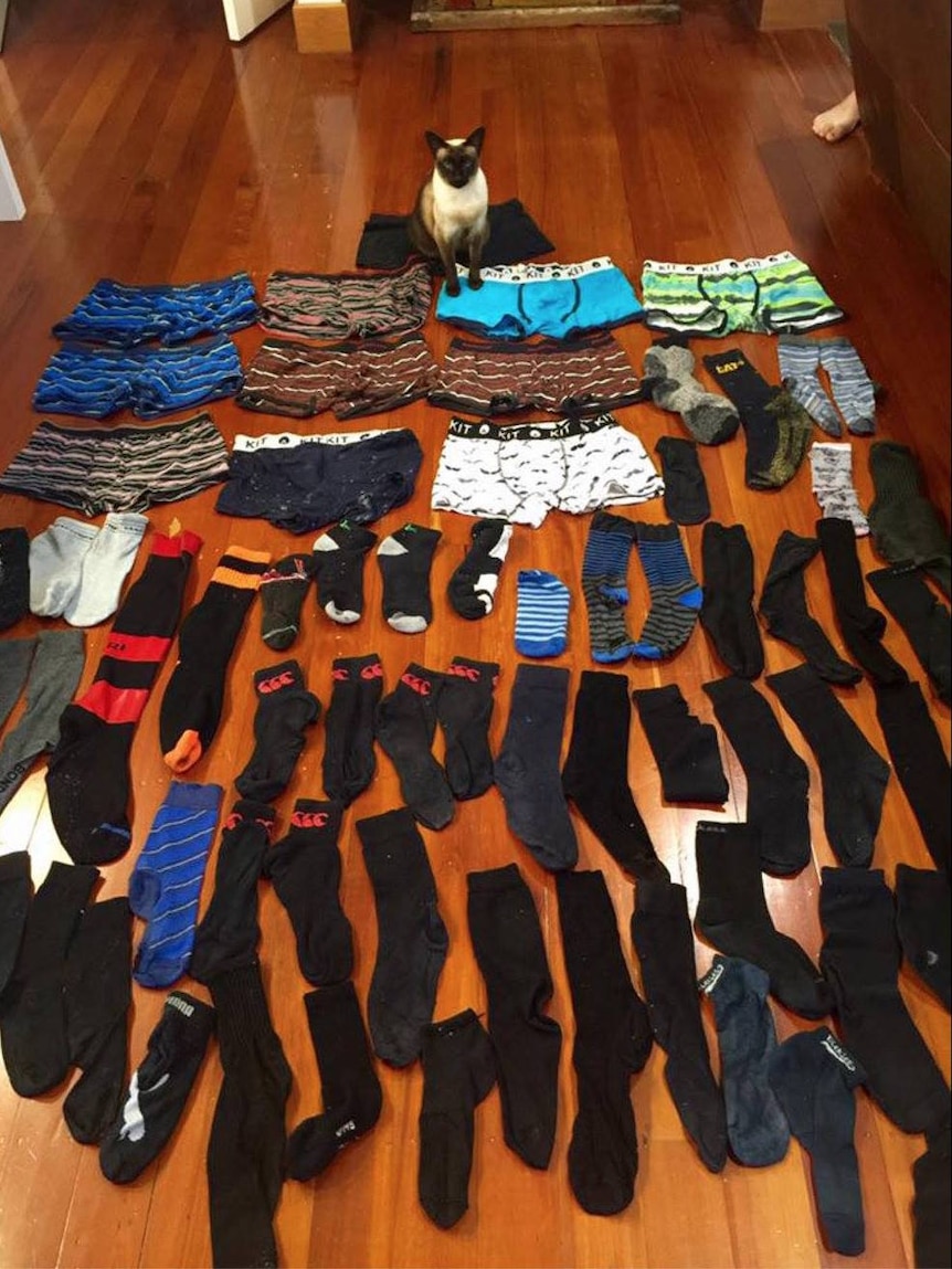 Brigit surrounded by pairs of men's underwear and socks that she has stolen.