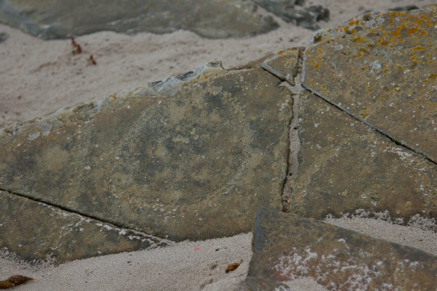 A rock fragment with circular carvings dotted into it lies on the beach