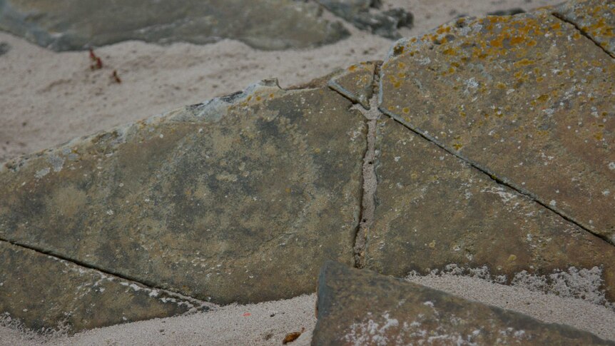 A rock fragment with circular carvings dotted into it lies on the beach