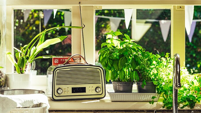 An old fashioned radio sits on a kitchen window sill surrounded by green herbs growing in pots.
