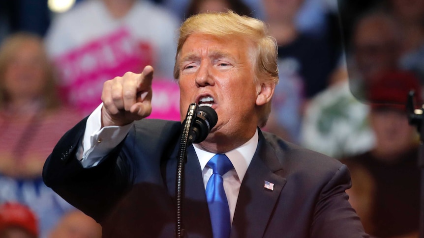 Trump is seen pointing his finger while speaking at a rally.