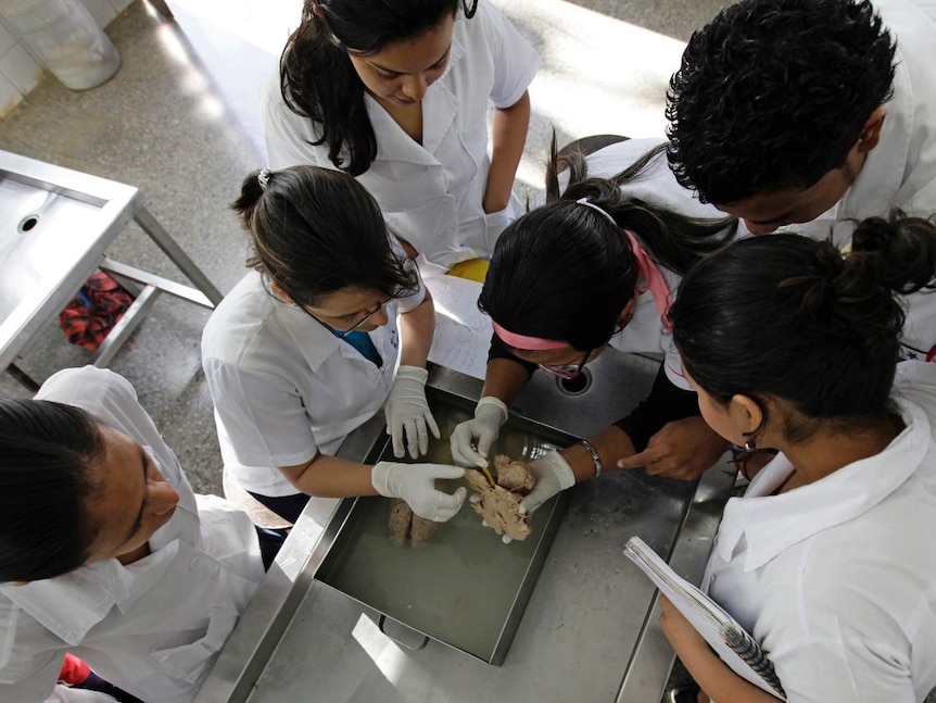 Cuban medical students