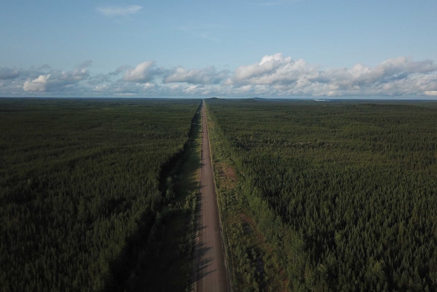 A drone shot of a remote highway through forest