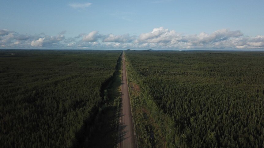 A drone shot of a remote highway through forest