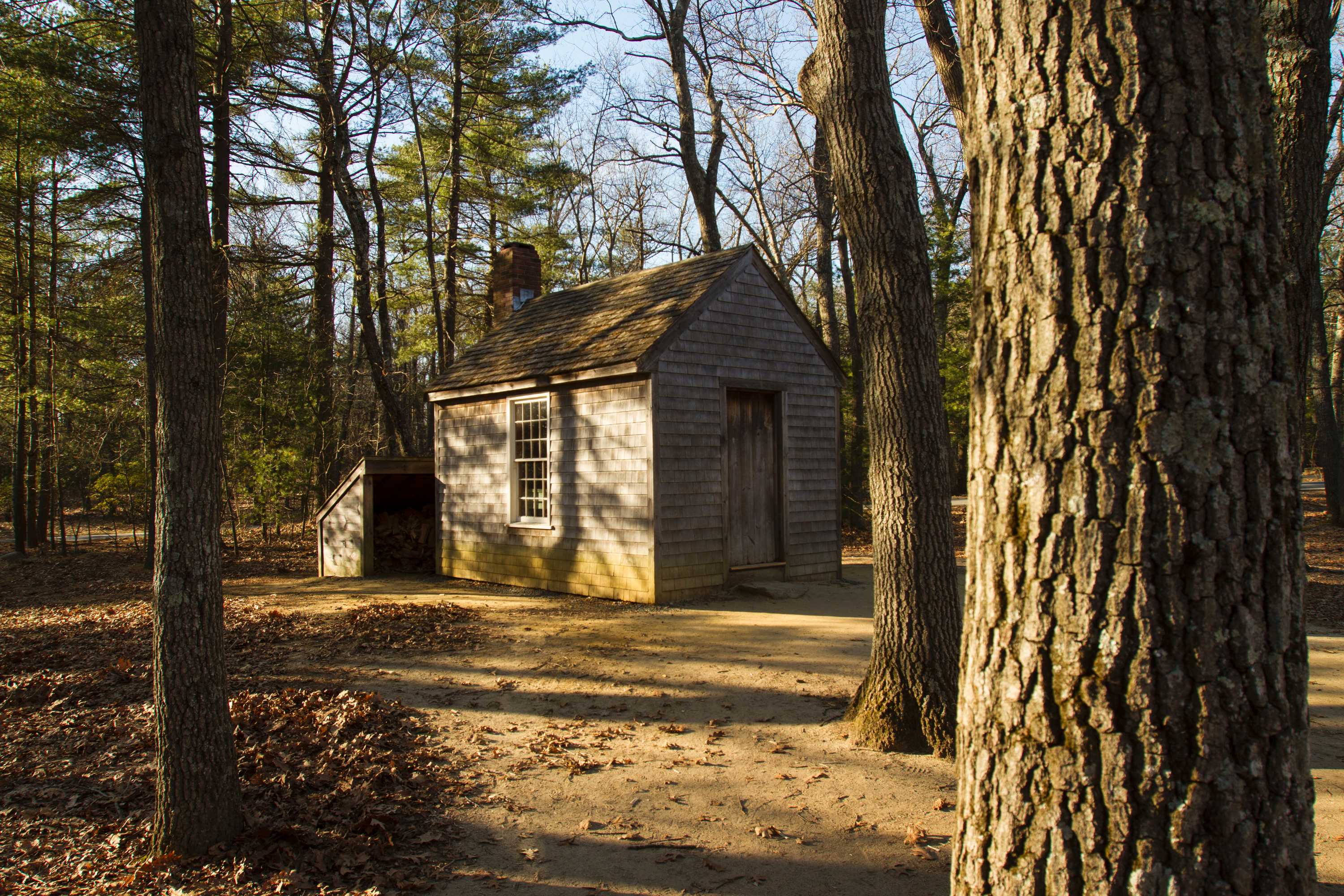 This profaned world: Re-reading Thoreau's Walden for the ...