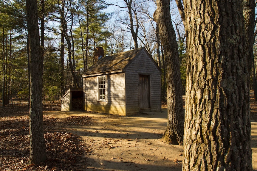 Recreation of Thoreau's Cabin at Walden Pond in Massachusetts