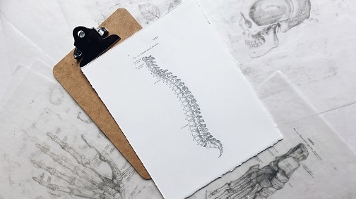 A clipboard with an illustration of a spine on it