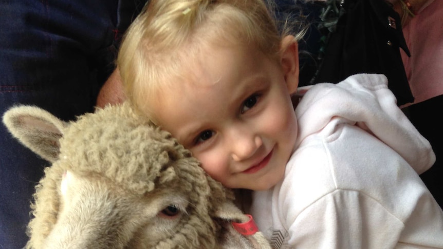 Sophie Milich,3, hugs a sheep