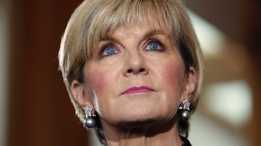 Julie Bishop attacks NZ Labour Party