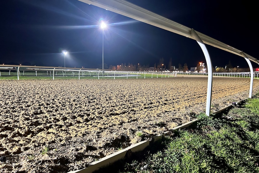 A photo of a neat sand track under big floodlights with a white rail alongside