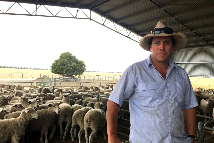 Farmer in Victorian town of Waubra 3