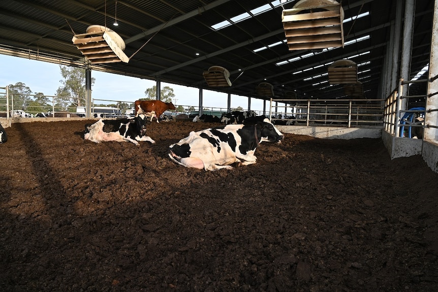 Kate would like to build a compost barn like this one.