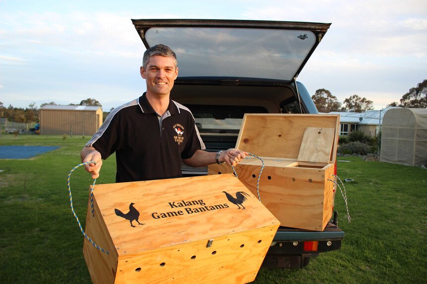Albany poultry breeder Nathan Watson holds one of the special transport boxes he uses to drive his chickens around Australia.