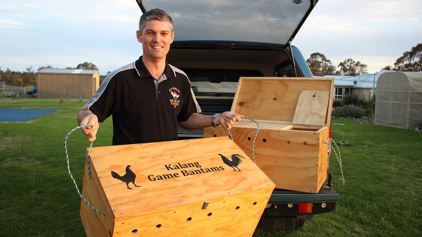 Albany poultry breeder Nathan Watson holds one of the special transport boxes he uses to drive his chickens around Australia.