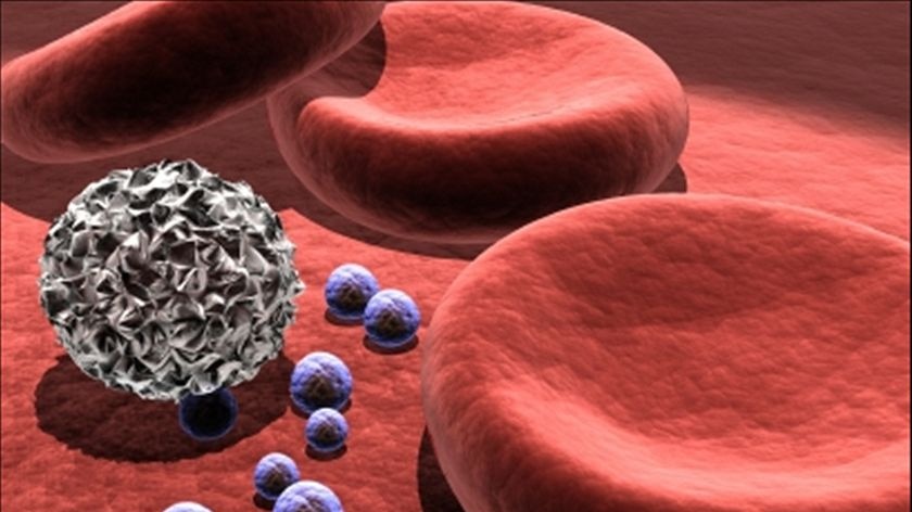 3D computer rendering of a red blood cell, white blood cell and bacteria on tissue surface.