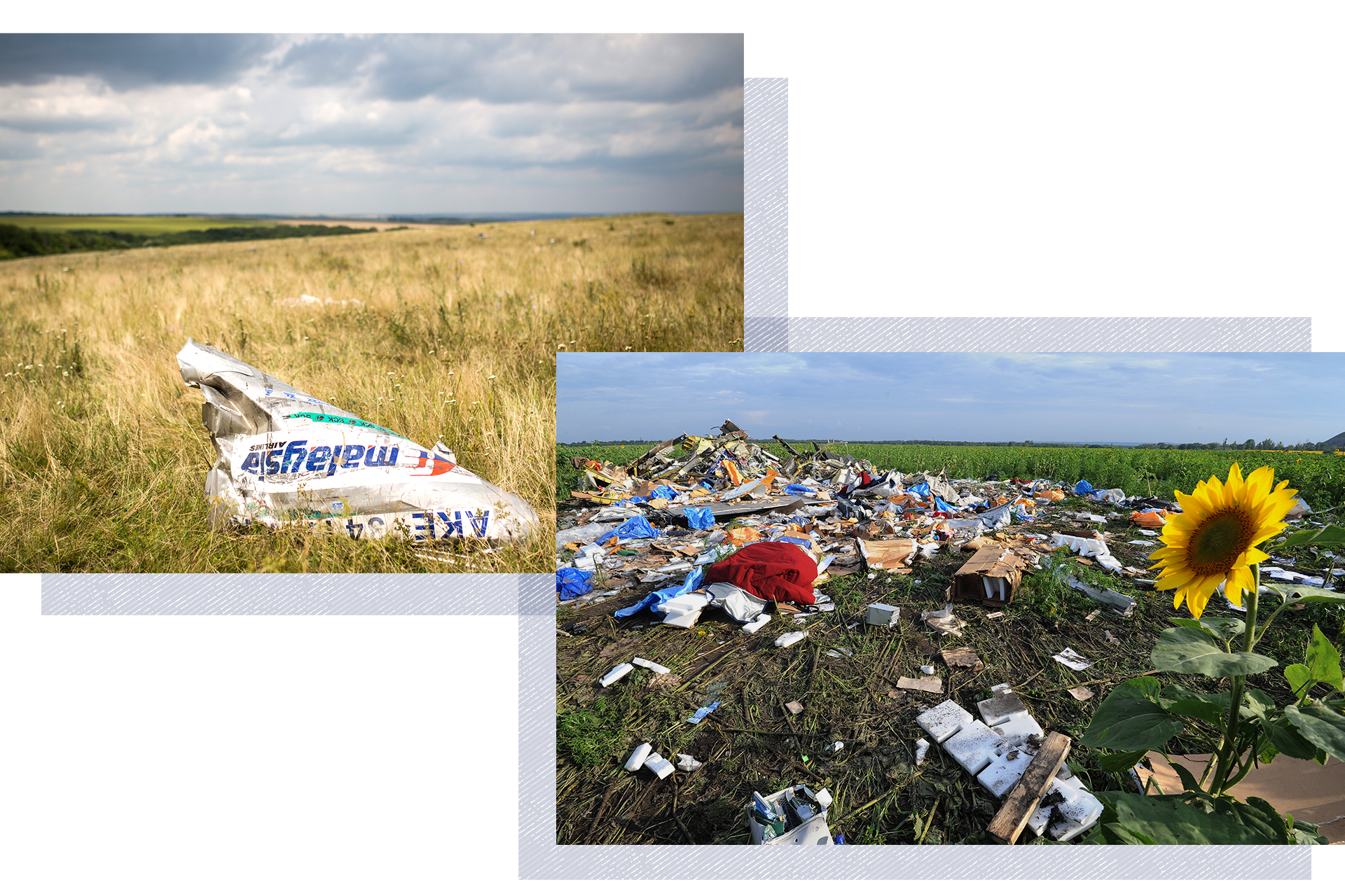 An image of wreckage from a Malaysia Airlines plane in a field beside another image of debris and a sunflower.