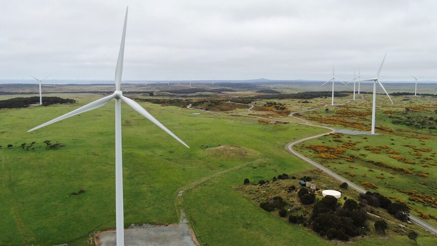 Wind turbines over farmland.