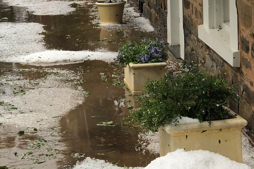 A close-up of a pile of hail outside a house. 